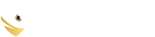 Shayingozi Security Solutions Logo