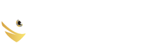 Shayingozi Security Solutions Logo